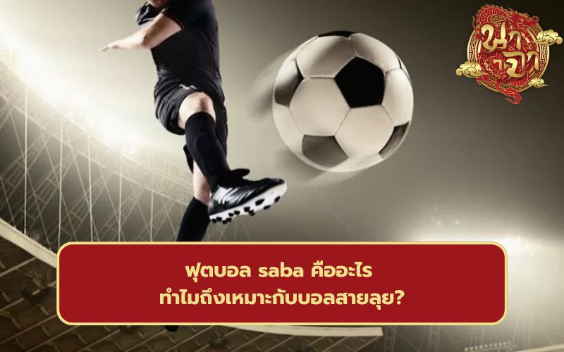 เว็บแทงบอล ต่างประเทศ